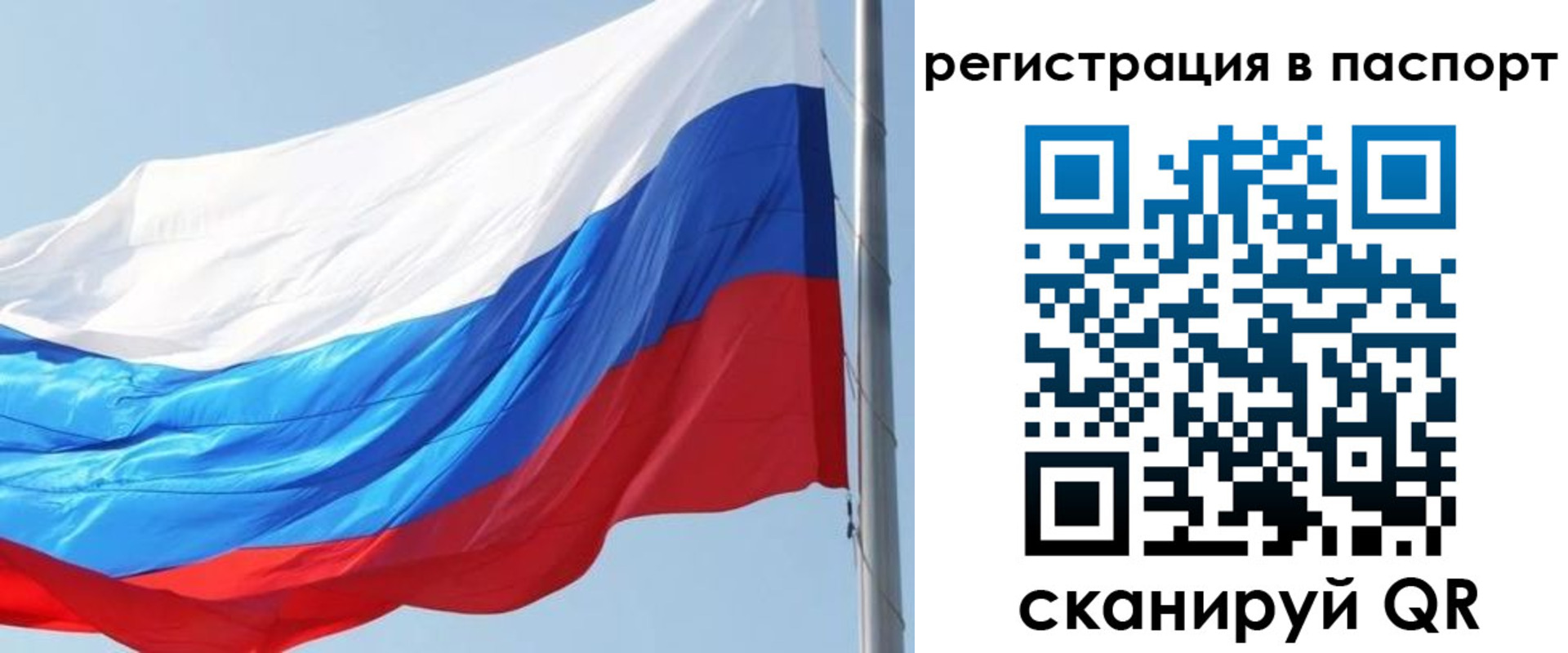 прописка законно в Собинке